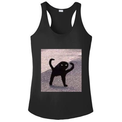 Cursed Cat Memes Cursed Cat Angry As Fuk Meme Ladies PosiCharge Competitor Racerback Tank
