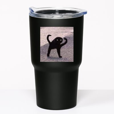 Cursed Cat Memes Cursed Cat Angry As Fuk Meme Tumbler