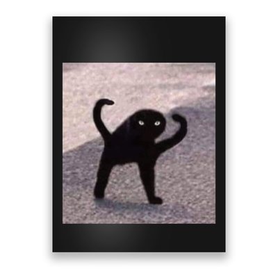 Cursed Cat Memes Cursed Cat Angry As Fuk Meme Poster