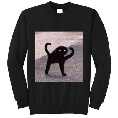 Cursed Cat Memes Cursed Cat Angry As Fuk Meme Tall Sweatshirt
