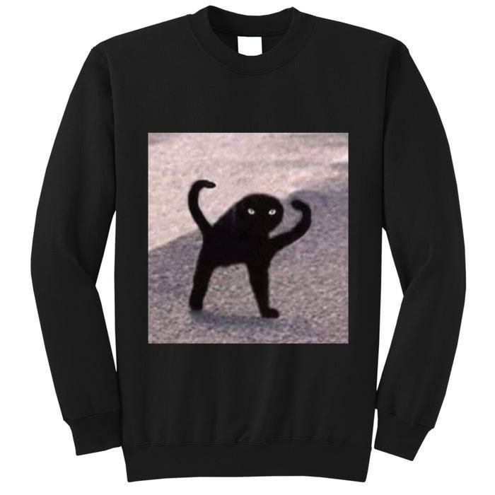 Cursed Cat Memes Cursed Cat Angry As Fuk Meme Tall Sweatshirt