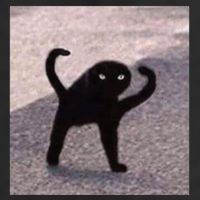 Cursed Cat Memes Cursed Cat Angry As Fuk Meme 25L Jumbo Tote