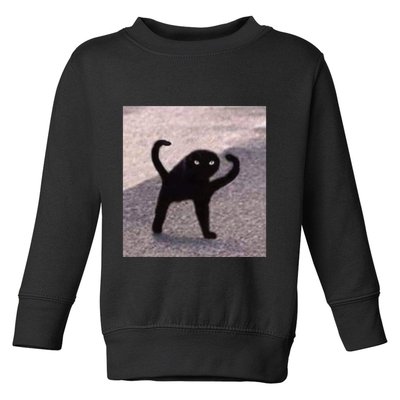 Cursed Cat Memes Cursed Cat Angry As Fuk Meme Toddler Sweatshirt