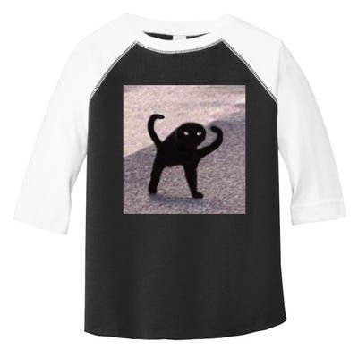 Cursed Cat Memes Cursed Cat Angry As Fuk Meme Toddler Fine Jersey T-Shirt