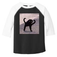 Cursed Cat Memes Cursed Cat Angry As Fuk Meme Toddler Fine Jersey T-Shirt