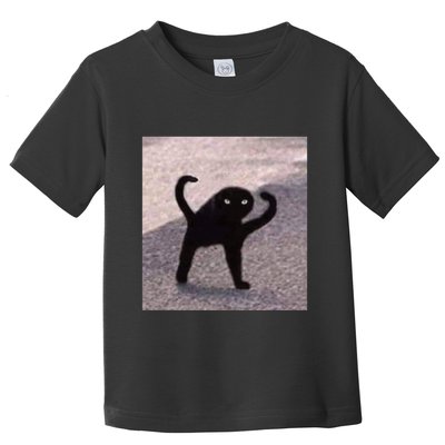 Cursed Cat Memes Cursed Cat Angry As Fuk Meme Toddler T-Shirt