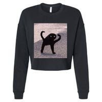 Cursed Cat Memes Cursed Cat Angry As Fuk Meme Cropped Pullover Crew
