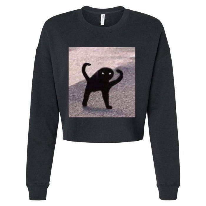 Cursed Cat Memes Cursed Cat Angry As Fuk Meme Cropped Pullover Crew
