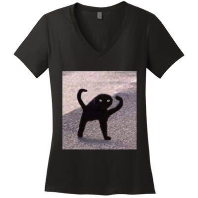 Cursed Cat Memes Cursed Cat Angry As Fuk Meme Women's V-Neck T-Shirt