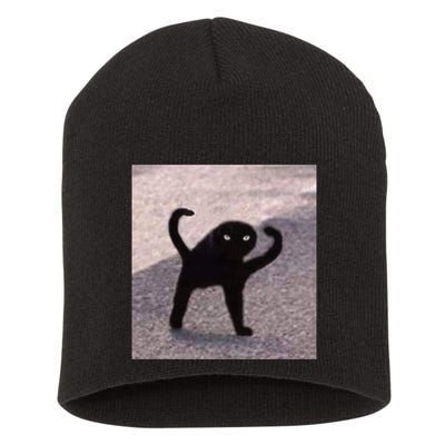 Cursed Cat Memes Cursed Cat Angry As Fuk Meme Short Acrylic Beanie