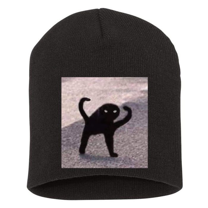 Cursed Cat Memes Cursed Cat Angry As Fuk Meme Short Acrylic Beanie