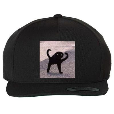 Cursed Cat Memes Cursed Cat Angry As Fuk Meme Wool Snapback Cap