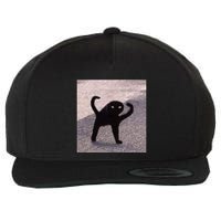 Cursed Cat Memes Cursed Cat Angry As Fuk Meme Wool Snapback Cap