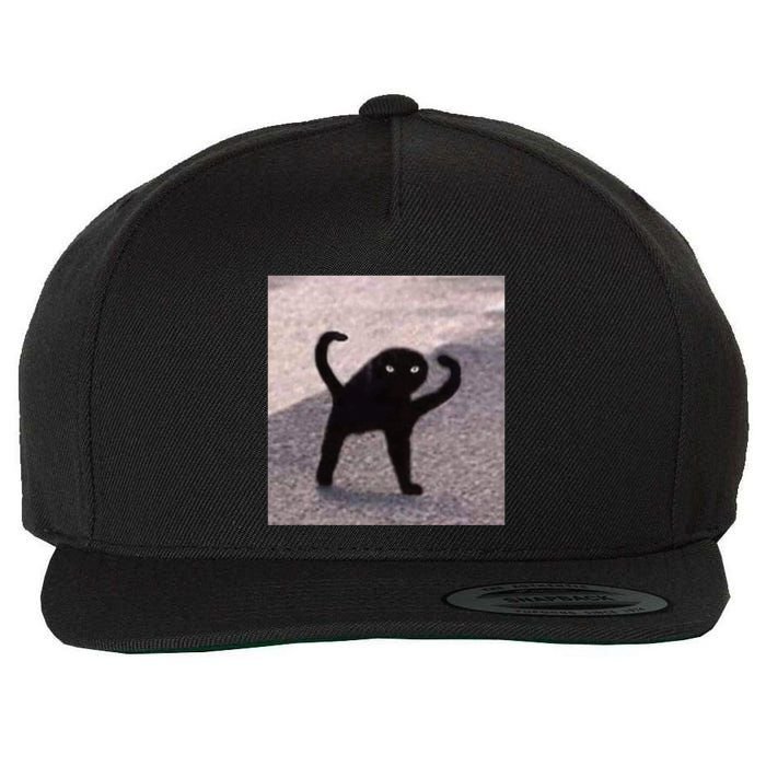 Cursed Cat Memes Cursed Cat Angry As Fuk Meme Wool Snapback Cap