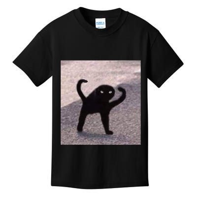 Cursed Cat Memes Cursed Cat Angry As Fuk Meme Kids T-Shirt