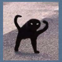 Cursed Cat Memes Cursed Cat Angry As Fuk Meme Garment-Dyed Sweatshirt