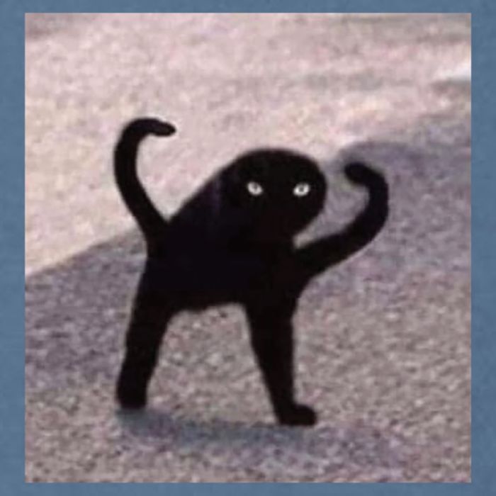 Cursed Cat Memes Cursed Cat Angry As Fuk Meme Garment-Dyed Sweatshirt
