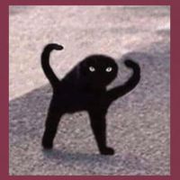 Cursed Cat Memes Cursed Cat Angry As Fuk Meme 16oz Travel Tumbler