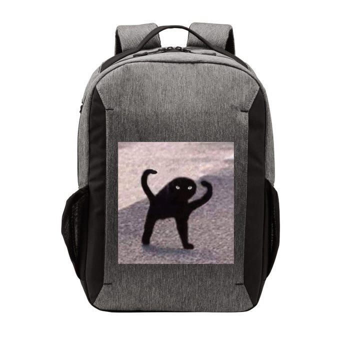 Cursed Cat Memes Cursed Cat Angry As Fuk Meme Vector Backpack
