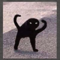 Cursed Cat Memes Cursed Cat Angry As Fuk Meme Vector Backpack