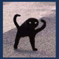 Cursed Cat Memes Cursed Cat Angry As Fuk Meme Infant Baby Jersey Bodysuit