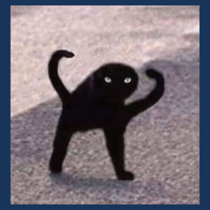 Cursed Cat Memes Cursed Cat Angry As Fuk Meme Infant Baby Jersey Bodysuit