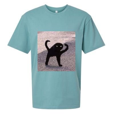 Cursed Cat Memes Cursed Cat Angry As Fuk Meme Sueded Cloud Jersey T-Shirt