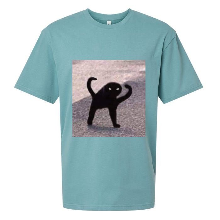Cursed Cat Memes Cursed Cat Angry As Fuk Meme Sueded Cloud Jersey T-Shirt
