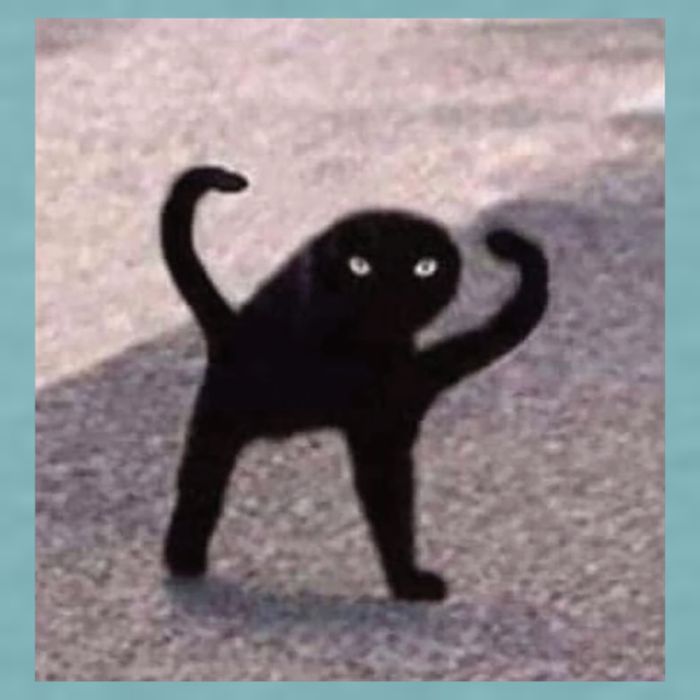 Cursed Cat Memes Cursed Cat Angry As Fuk Meme Sueded Cloud Jersey T-Shirt