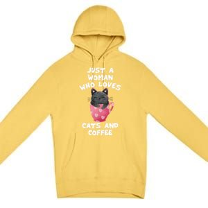 Cat Coffee Mug Just A Who Loves Cats And Coffee Gift Premium Pullover Hoodie