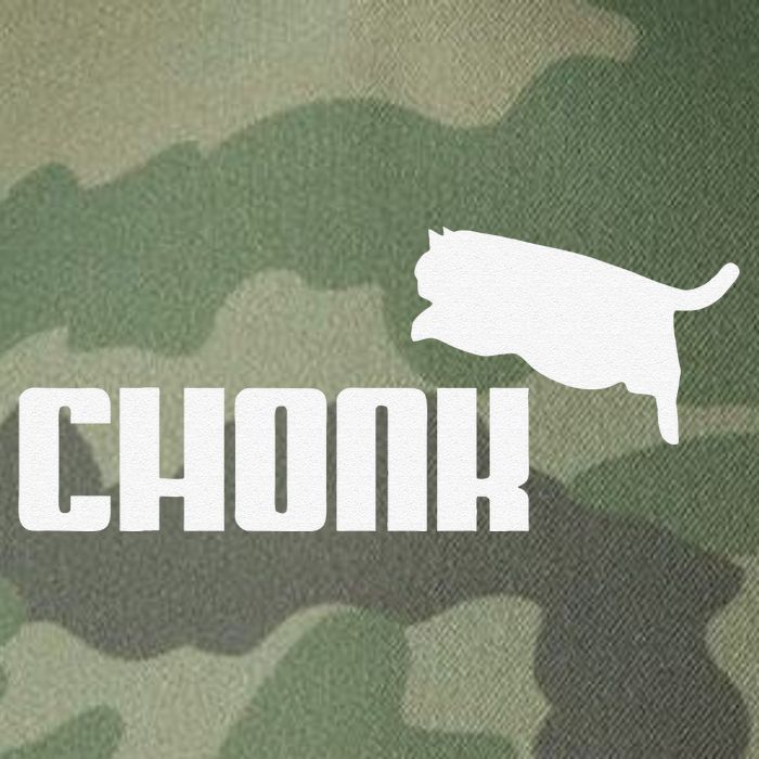Chonk Cat Meme Funny Legacy Tie Dye Trucker Hat