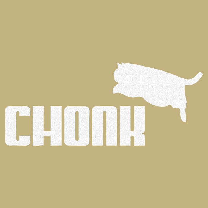 Chonk Cat Meme Funny Hoodie