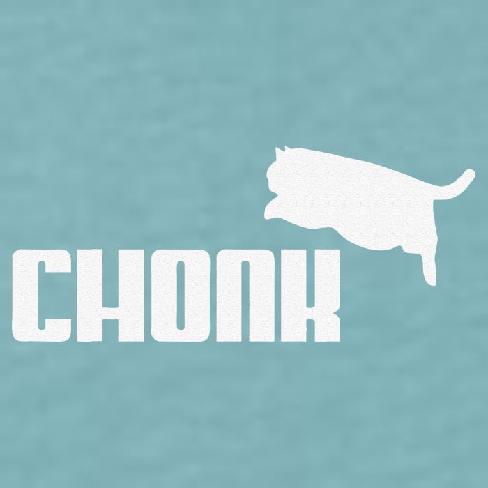 Chonk Cat Meme Funny Sueded Cloud Jersey T-Shirt