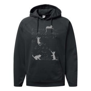 Cute Cats Music Notes Grey Musician Art Performance Fleece Hoodie