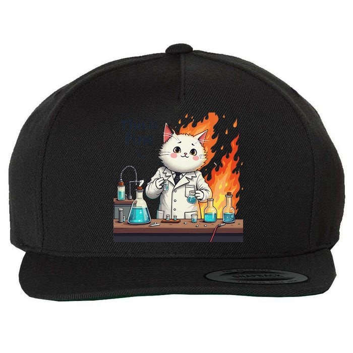 Chemistry Cat Meme This Is Fine Medical Lab Tech Lab Science Wool Snapback Cap