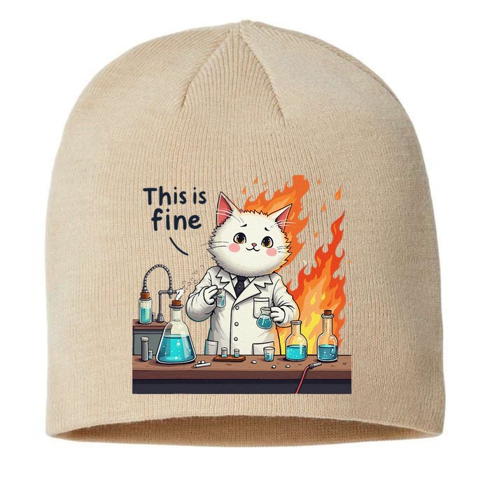 Chemistry Cat Meme This Is Fine Medical Lab Tech Lab Science Sustainable Beanie