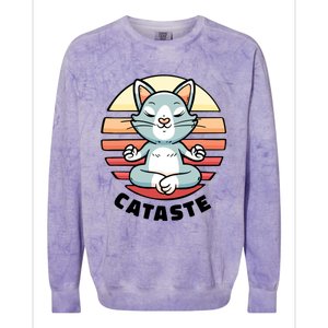 Cute Cat Meditating I Namaste Cataste Yoga Pun Funny Cat Cool Gift Colorblast Crewneck Sweatshirt