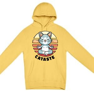 Cute Cat Meditating I Namaste Cataste Yoga Pun Funny Cat Cool Gift Premium Pullover Hoodie