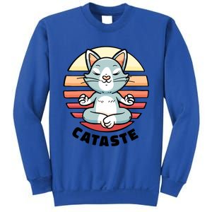 Cute Cat Meditating I Namaste Cataste Yoga Pun Funny Cat Cool Gift Sweatshirt