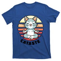 Cute Cat Meditating I Namaste Cataste Yoga Pun Funny Cat Cool Gift T-Shirt