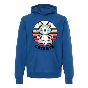 Cute Cat Meditating I Namaste Cataste Yoga Pun Funny Cat Cool Gift Premium Hoodie