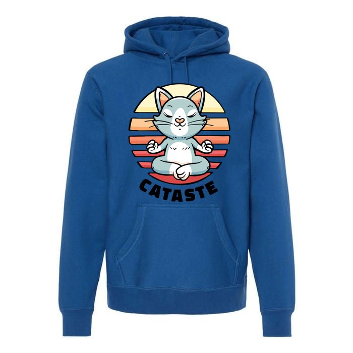 Cute Cat Meditating I Namaste Cataste Yoga Pun Funny Cat Cool Gift Premium Hoodie