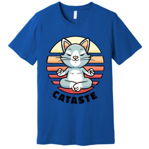 Cute Cat Meditating I Namaste Cataste Yoga Pun Funny Cat Cool Gift Premium T-Shirt