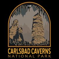 Carlsbad Caverns National Park Vintage Emblem 16 in Basic Backpack