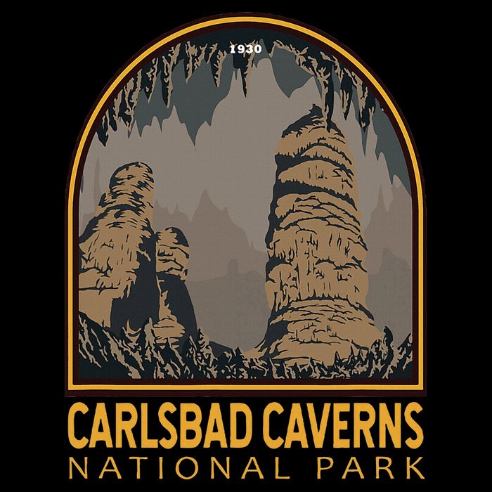 Carlsbad Caverns National Park Vintage Emblem 16 in Basic Backpack