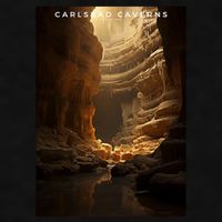 Carlsbad Caverns National Park Ladies PosiCharge Tri-Blend Wicking Tank