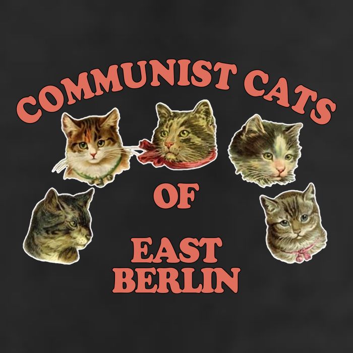 Communist Cats Of East Berlin Garment-Dyed Heavyweight T-Shirt