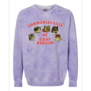 Communist Cats Of East Berlin Kitten Saying Colorblast Crewneck Sweatshirt