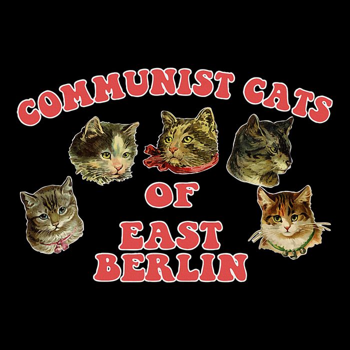 Communist Cats Of East Berlin Kitten Saying Cooling Performance Long Sleeve Crew