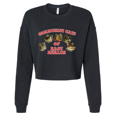 Communist Cats Of East Berlin Kitten Saying Cropped Pullover Crew